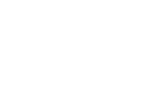 Monkey Factory